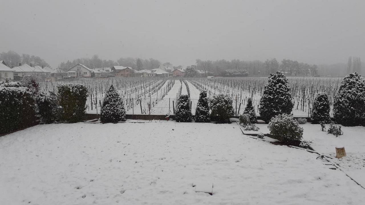 Aux Pieds Des Vignes Bed and Breakfast Ingersheim Εξωτερικό φωτογραφία